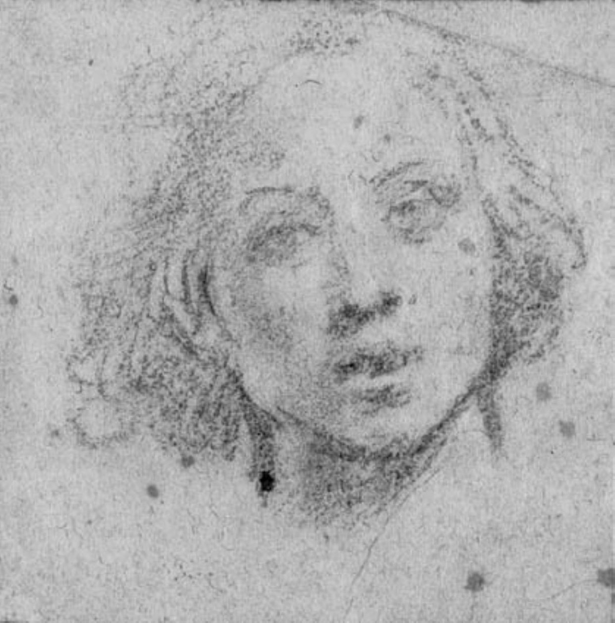Danés: Cabeza de hombre joven de Baldassare Franceschini