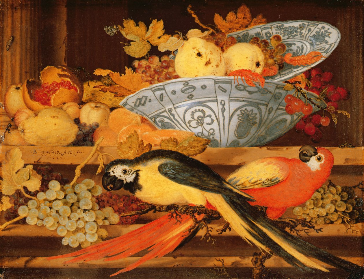 Naturaleza muerta con frutas y guacamayos, 1622 de Balthasar van der Ast