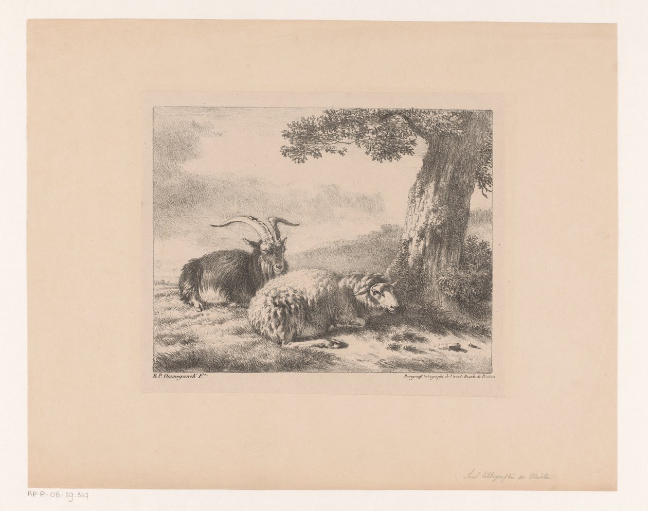 cabra y oveja de Balthasar Paul Ommeganck
