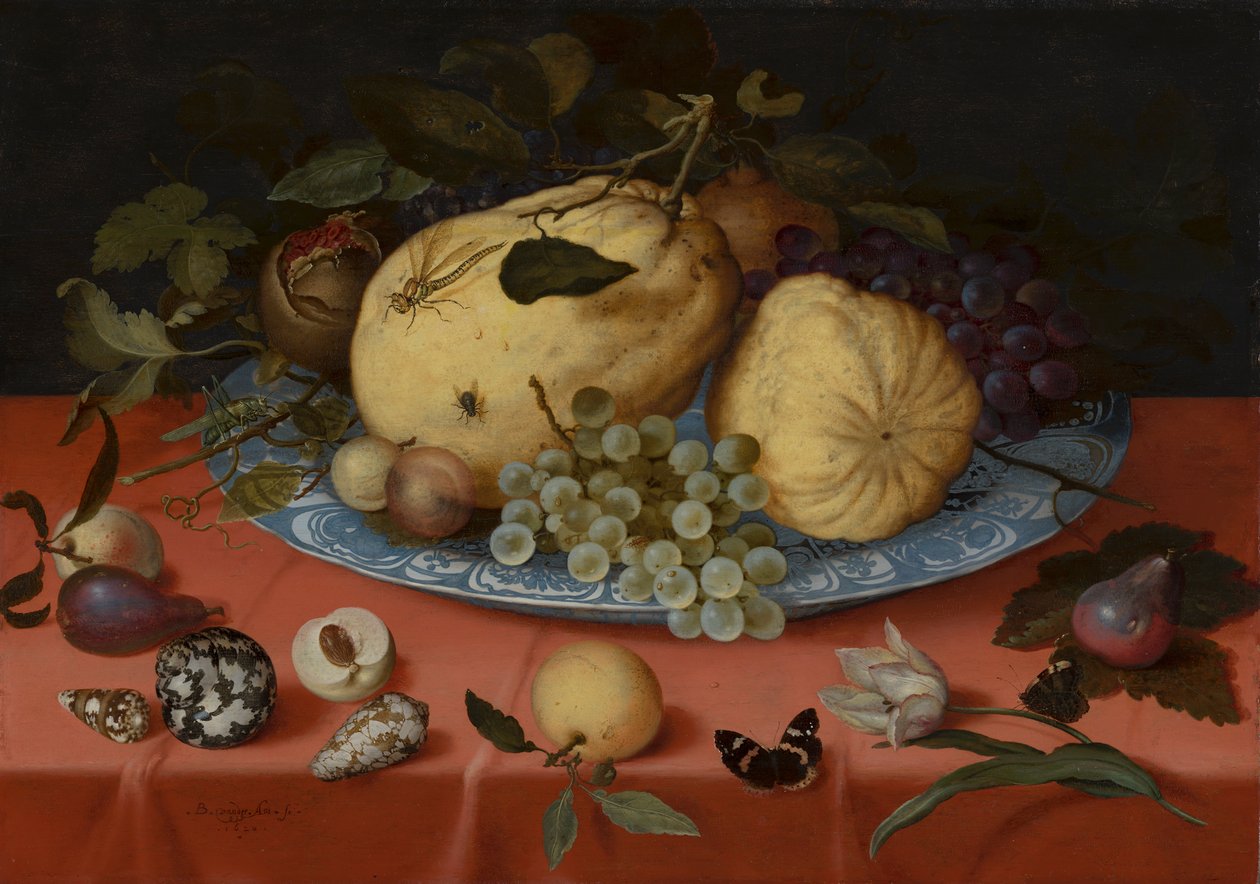 Bodegón de frutas con conchas y tulipán de Balthasar van der Ast