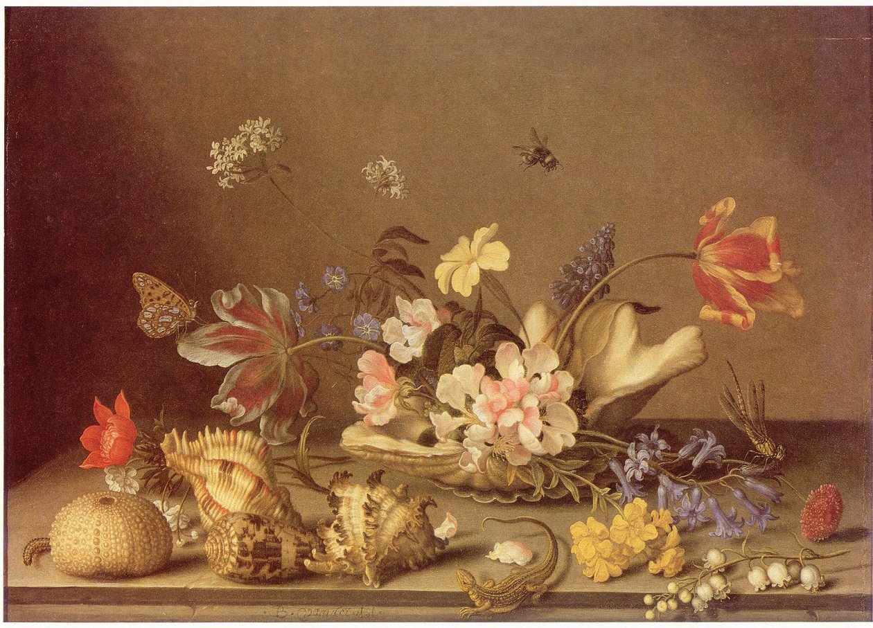 Bodegón de flores y conchas de Balthasar van der Ast