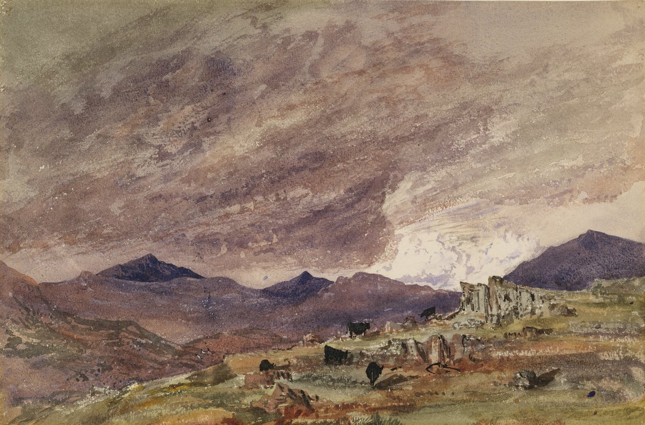 Paisaje montañoso con cielo tormentoso de Barbara Leigh Smith Bodichon