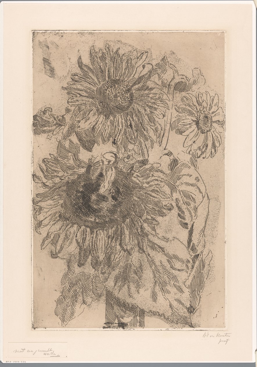Tres girasoles en un jarrón de Barbara Elisabeth van Houten (signed by artist)