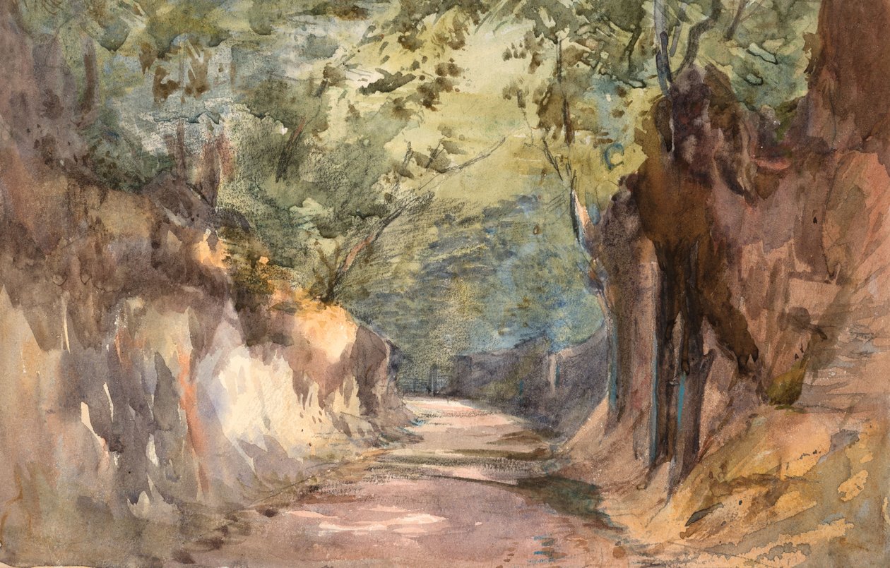 Entrada a la Puerta de Scalands (acuarela y grafito sobre papel de trama) de Barbara Leigh Smith Bodichon