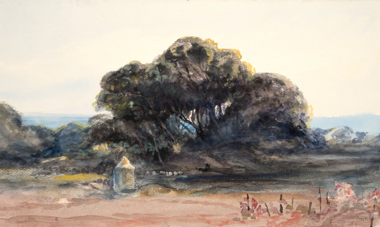 Paisaje: Pino y torrecilla (acuarela y grafito sobre papel de trama ) de Barbara Leigh Smith Bodichon
