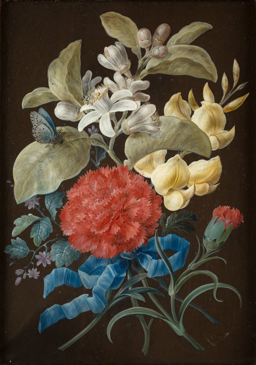 Conjunto de Cuatro Bodegones con Mariposas de Barbara Regina Dietzsch