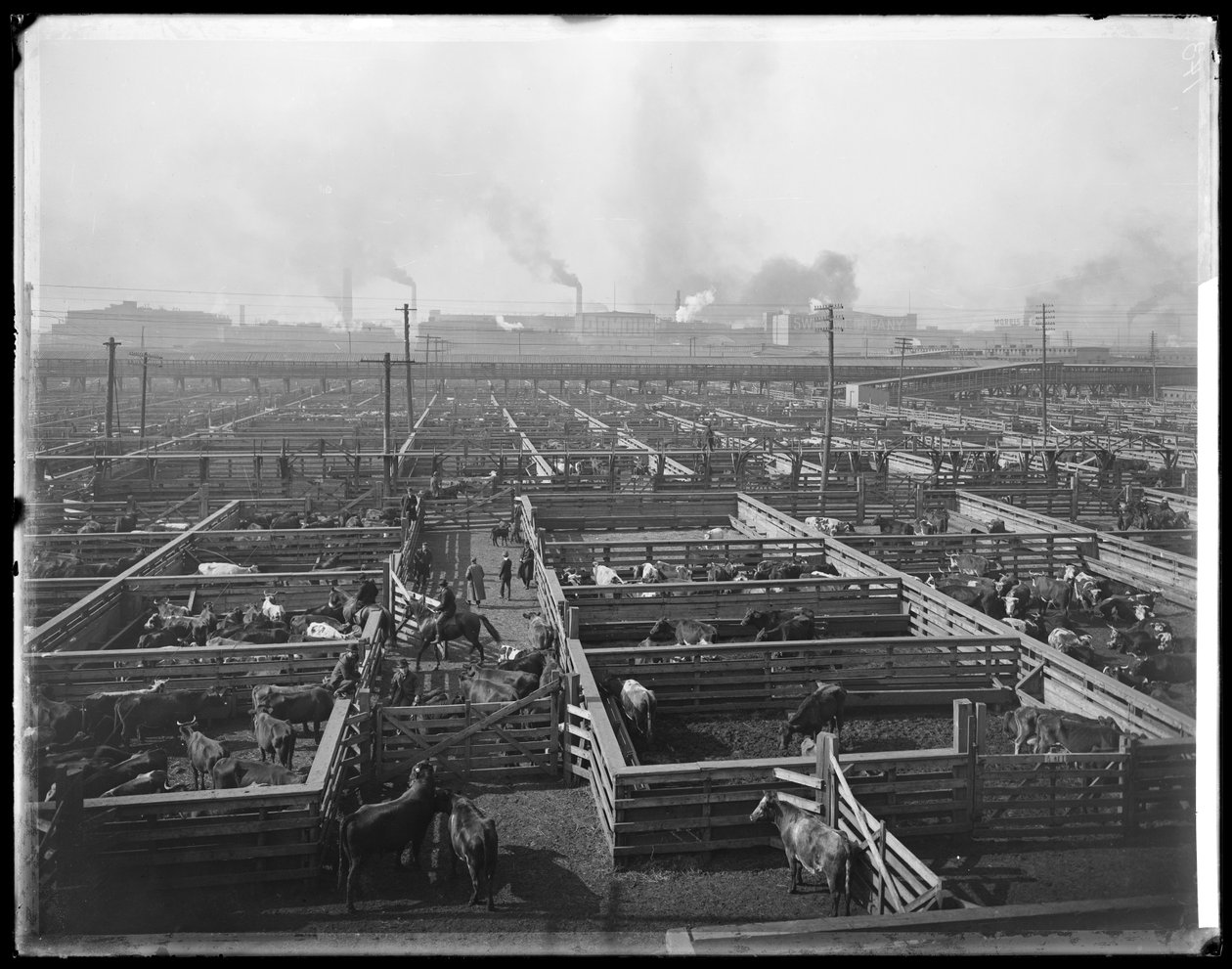 Corrales de ganado en Union Stock Yards, Chicago, Illinois, EE.UU., c.1900 (foto en b/n) de Barnes and Crosby