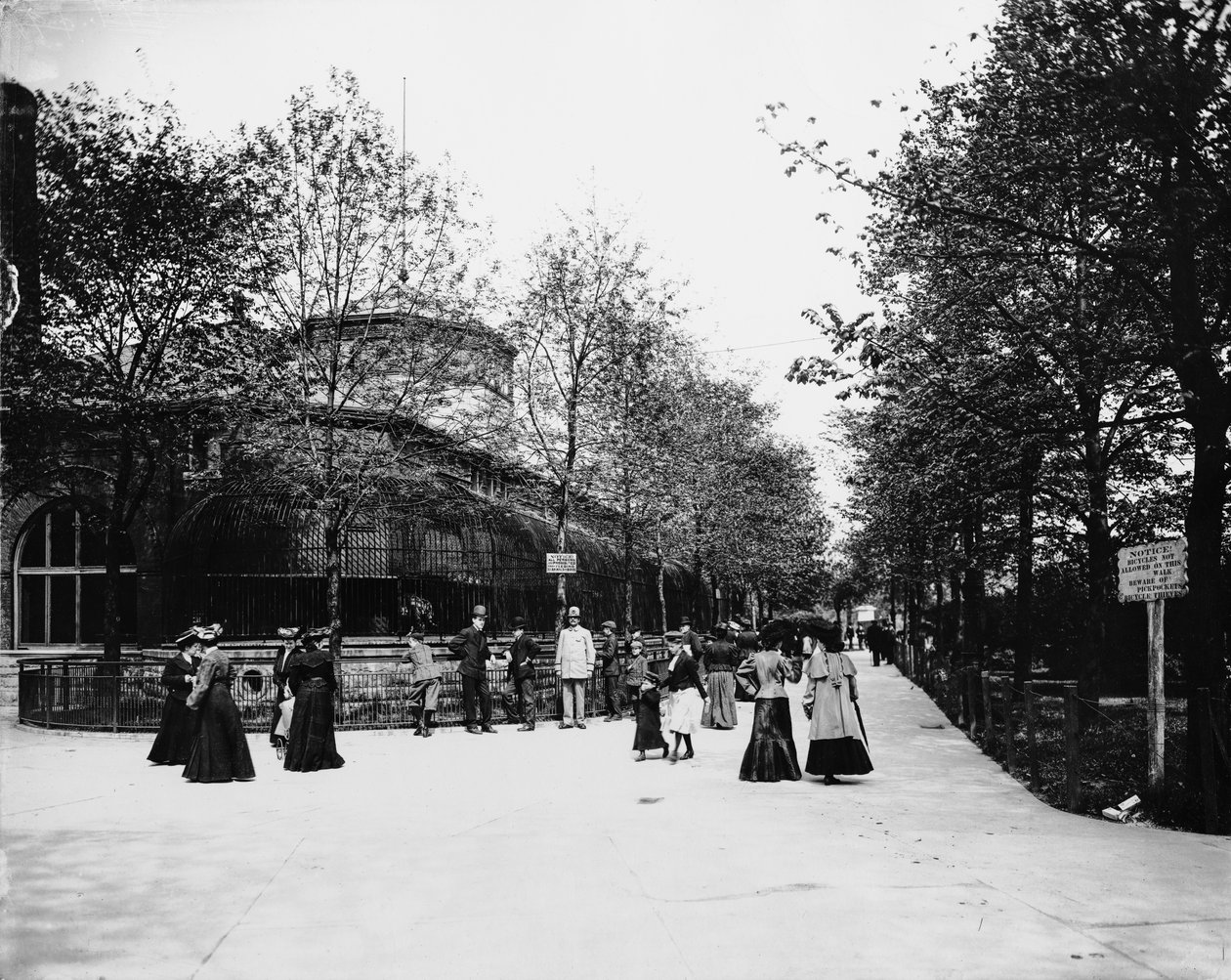 Zoológico de Lincoln Park, Chicago, Illinois, EE.UU., c.1900 (foto en b/n) de Barnes and Crosby