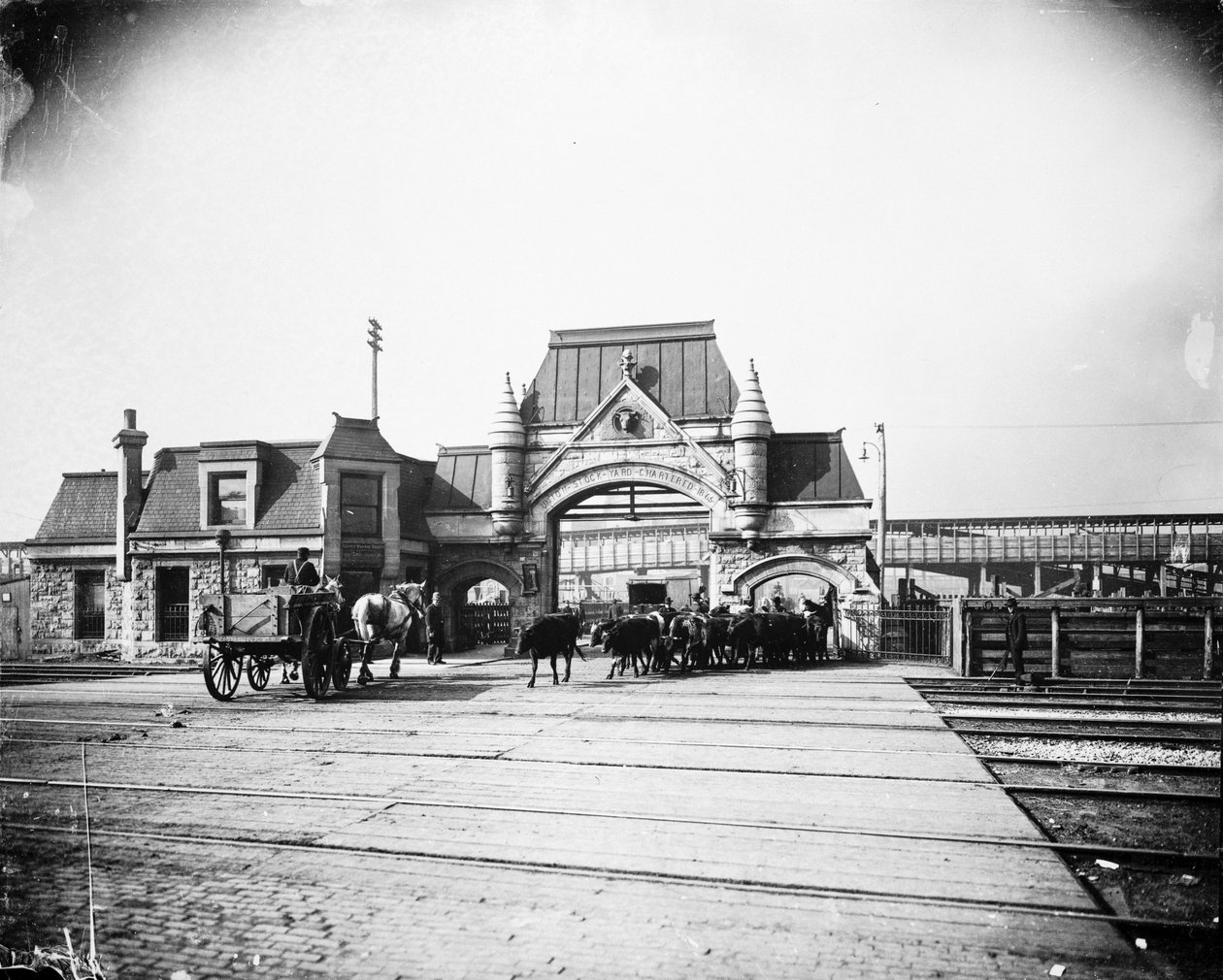 Puerta de Union Stock Yards en Exchange Avenue, Chicago, Illinois, EE.UU., c.1905 (foto en b/n) de Barnes and Crosby