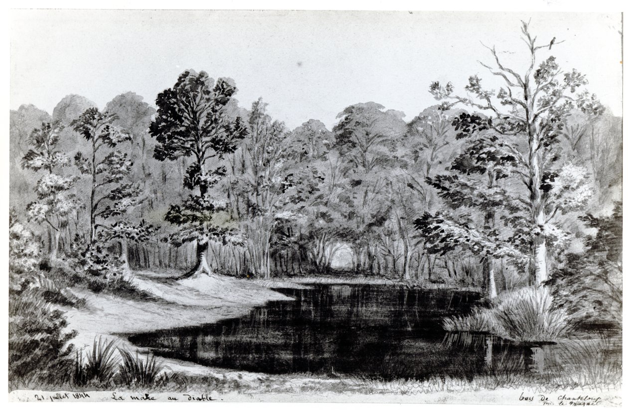 La piscina del diablo en el Bosque de Chanteloup, 1844 de Maurice Sand