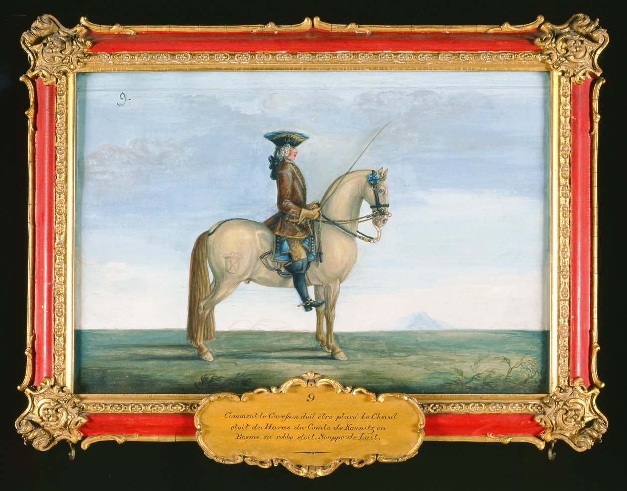 No. 9 Un caballo gris de la Escuela Española de Equitación, del haras del conde de Kaunitz en Bohemia de Baron Reis Eisenberg