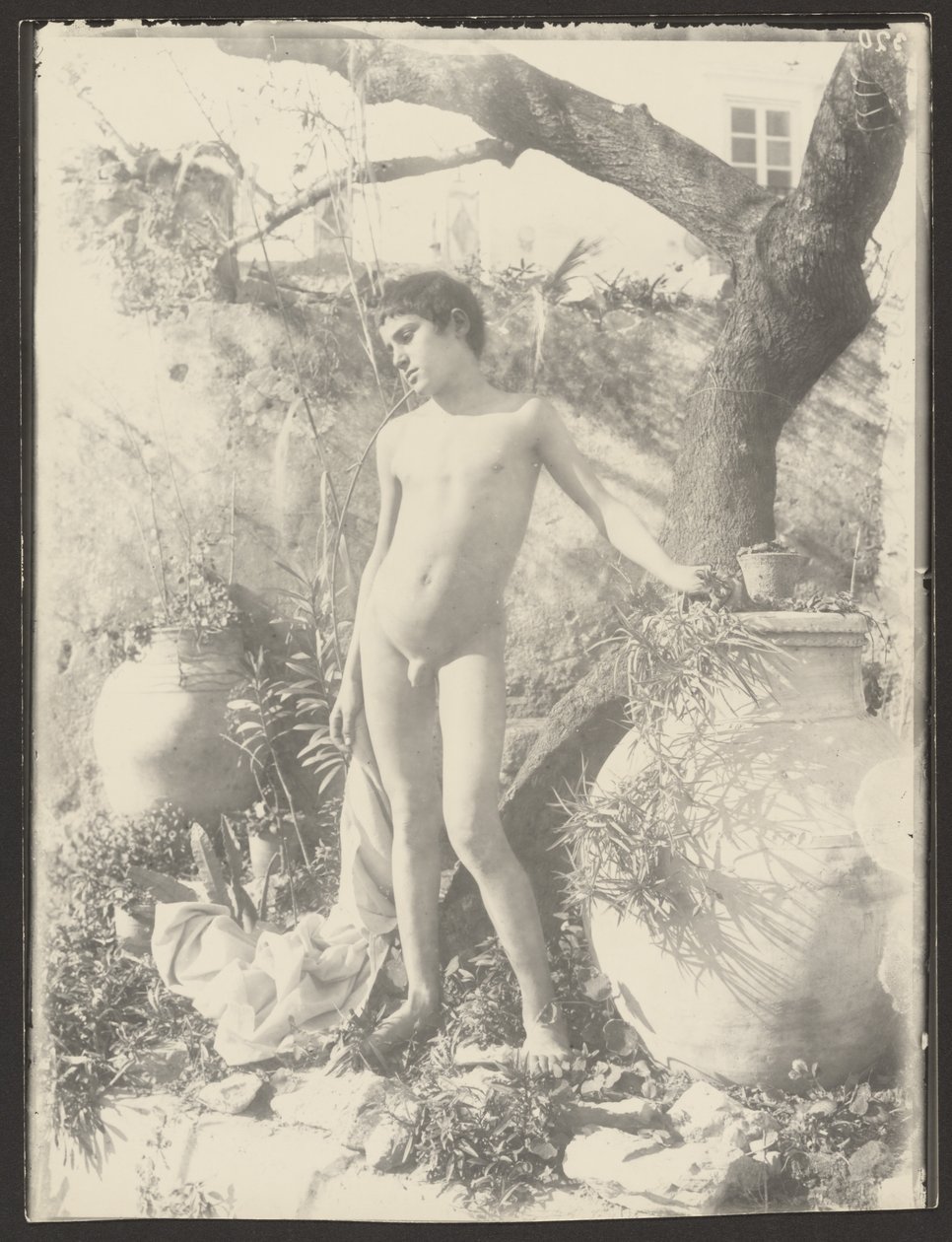 [Joven desnudo en el jardín] de Baron Wilhelm von Gloeden