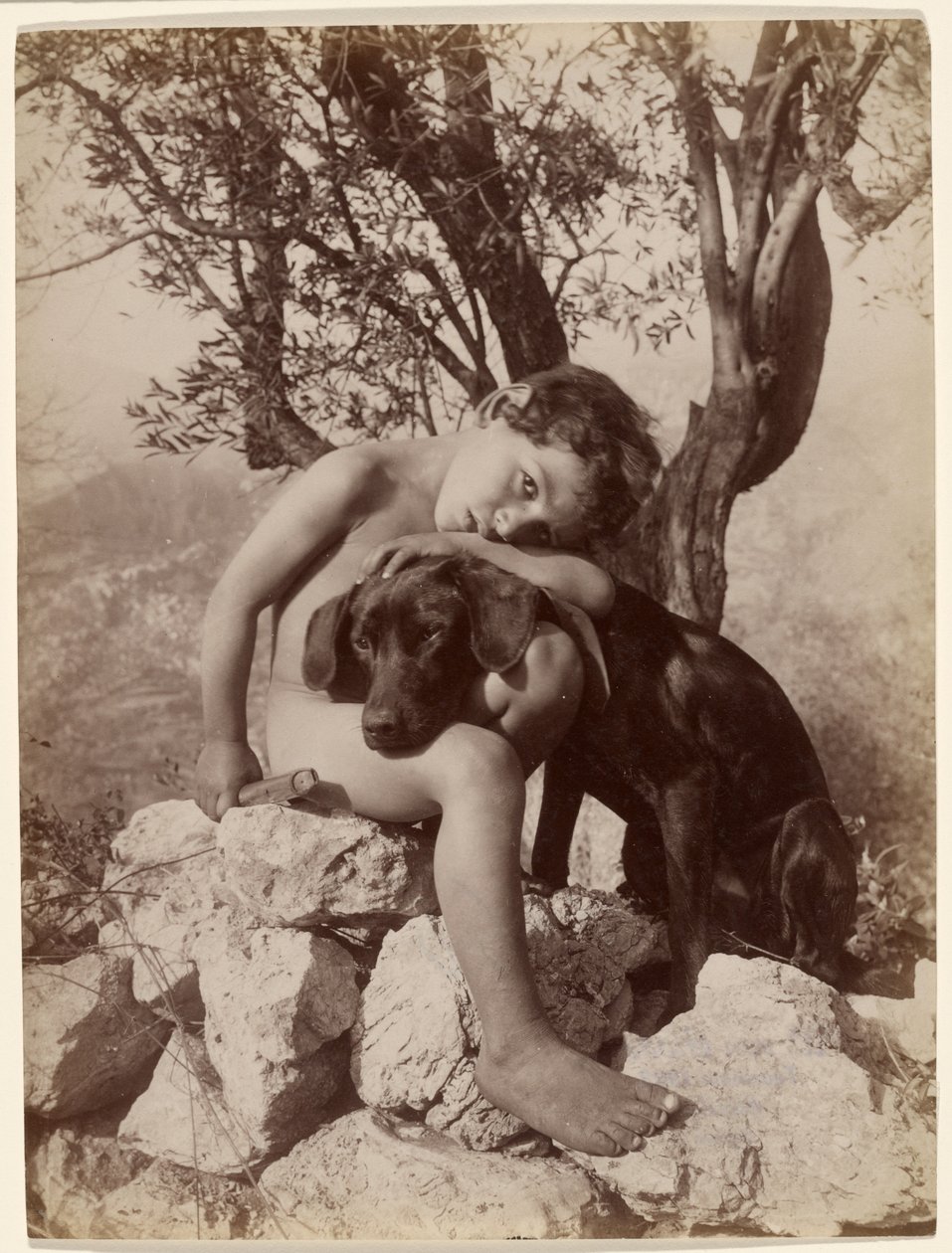 [Niño desnudo y un perro] de Baron Wilhelm von Gloeden