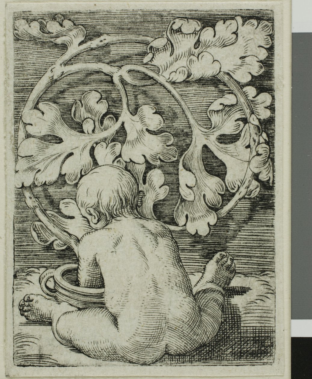 Niño desnudo, visto desde atrás sentado frente a un recipiente de Barthel Beham