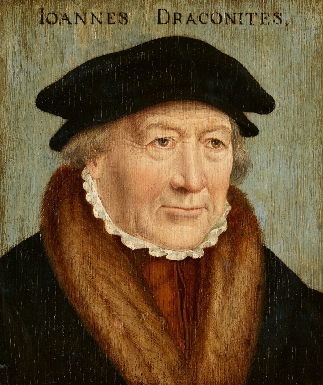 Retrato de Johannes Draconites de Bartholomaeus Bruyn the Elder