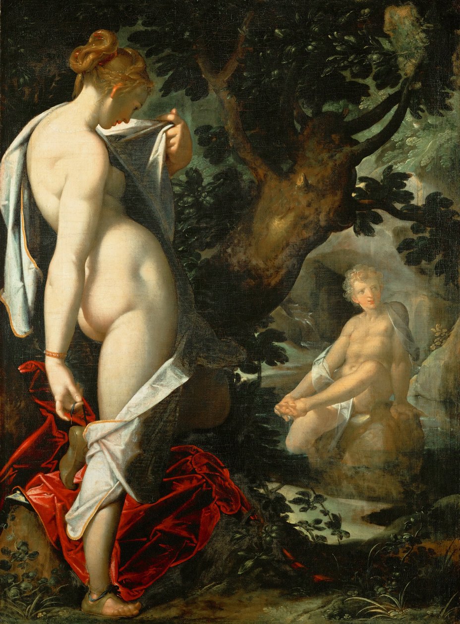 Alemán: Hermaphroditus und die Nymphe Salmacis Hermaphroditus and the nymph Salmacis de Bartholomeus Spranger