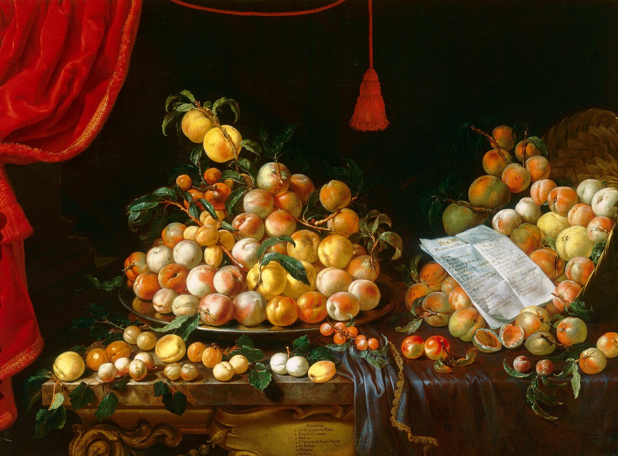Duraznos y albaricoques de Bartolomeo Bimbi