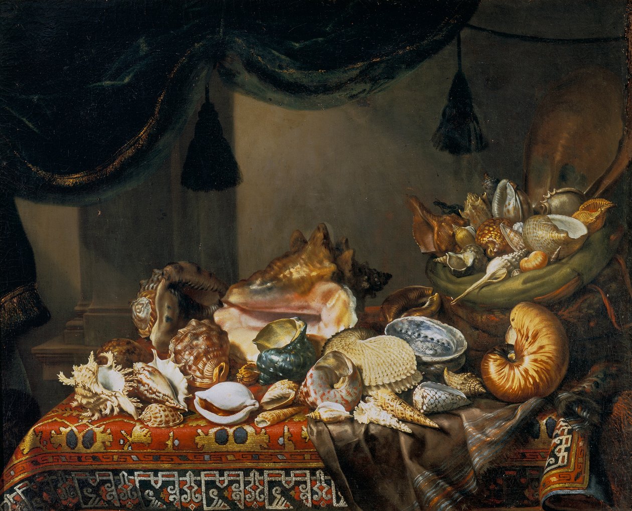 Naturaleza muerta con conchas de Bartolomeo Bimbi