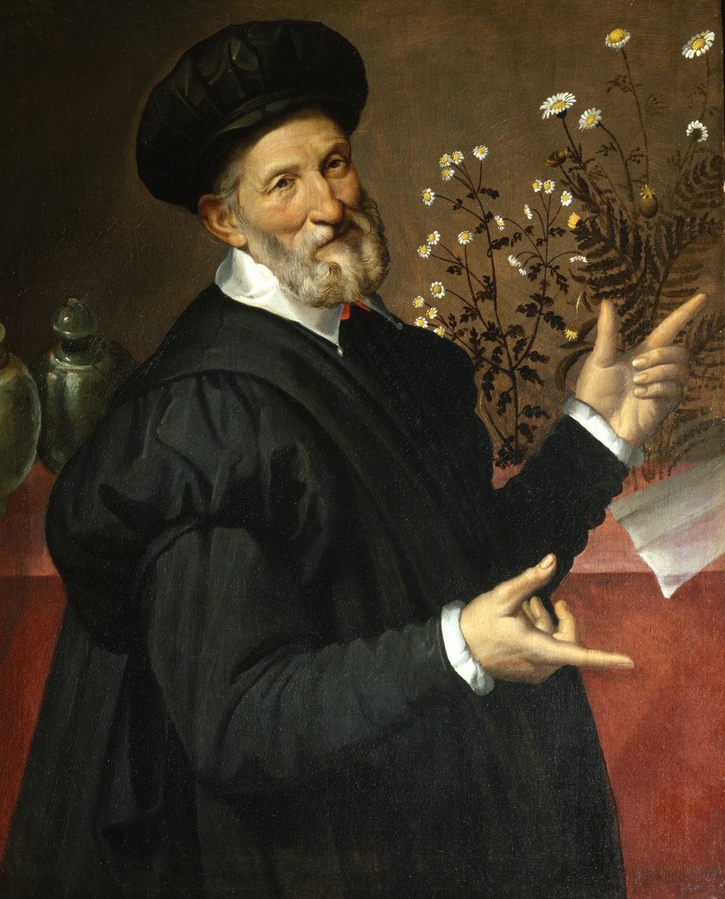 El Botánico, 1570 de Bartolomeo Passarotti