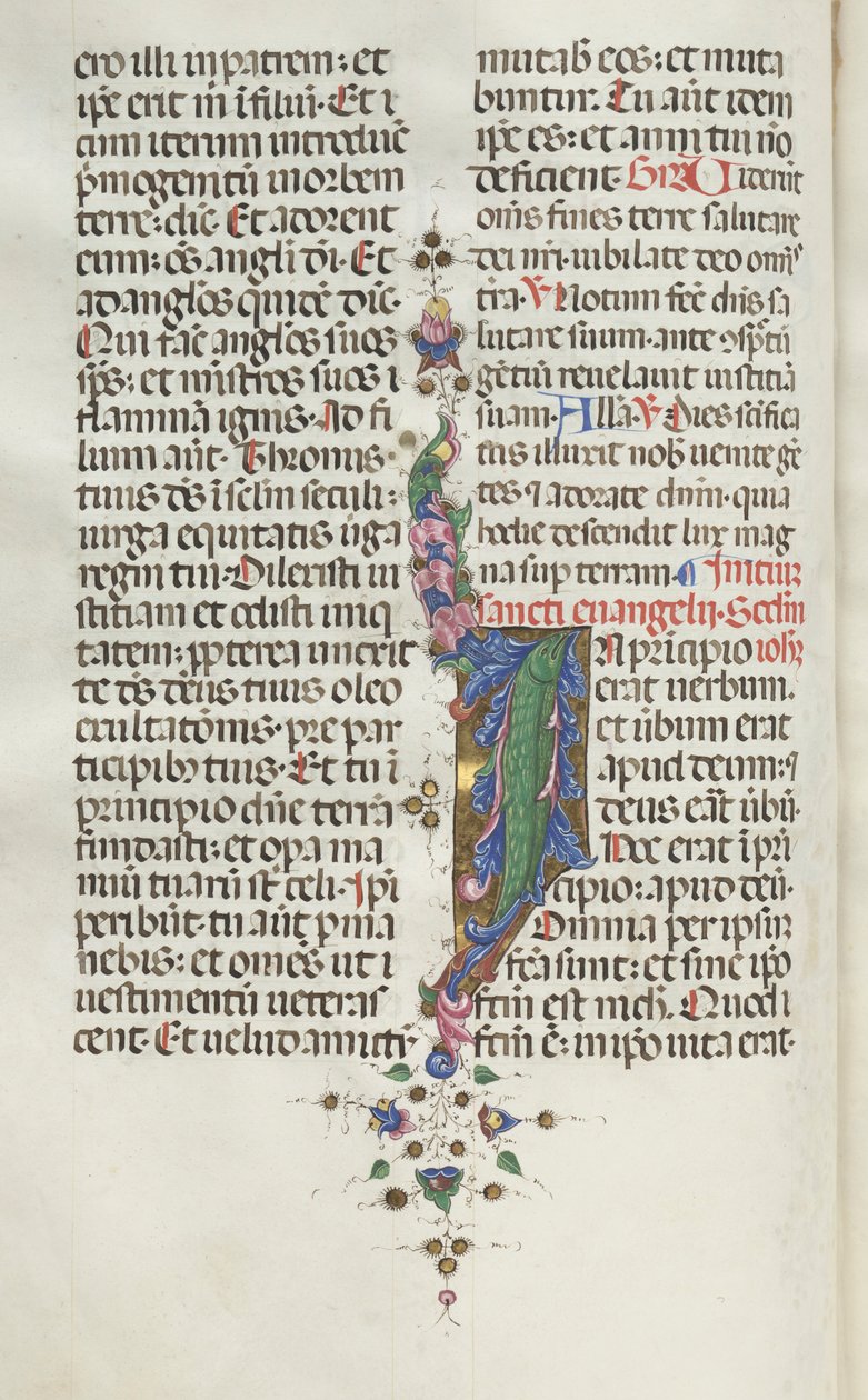 Misal: Fol. 22v: Follaje con peces, 1469 de Bartolomeo Caporali