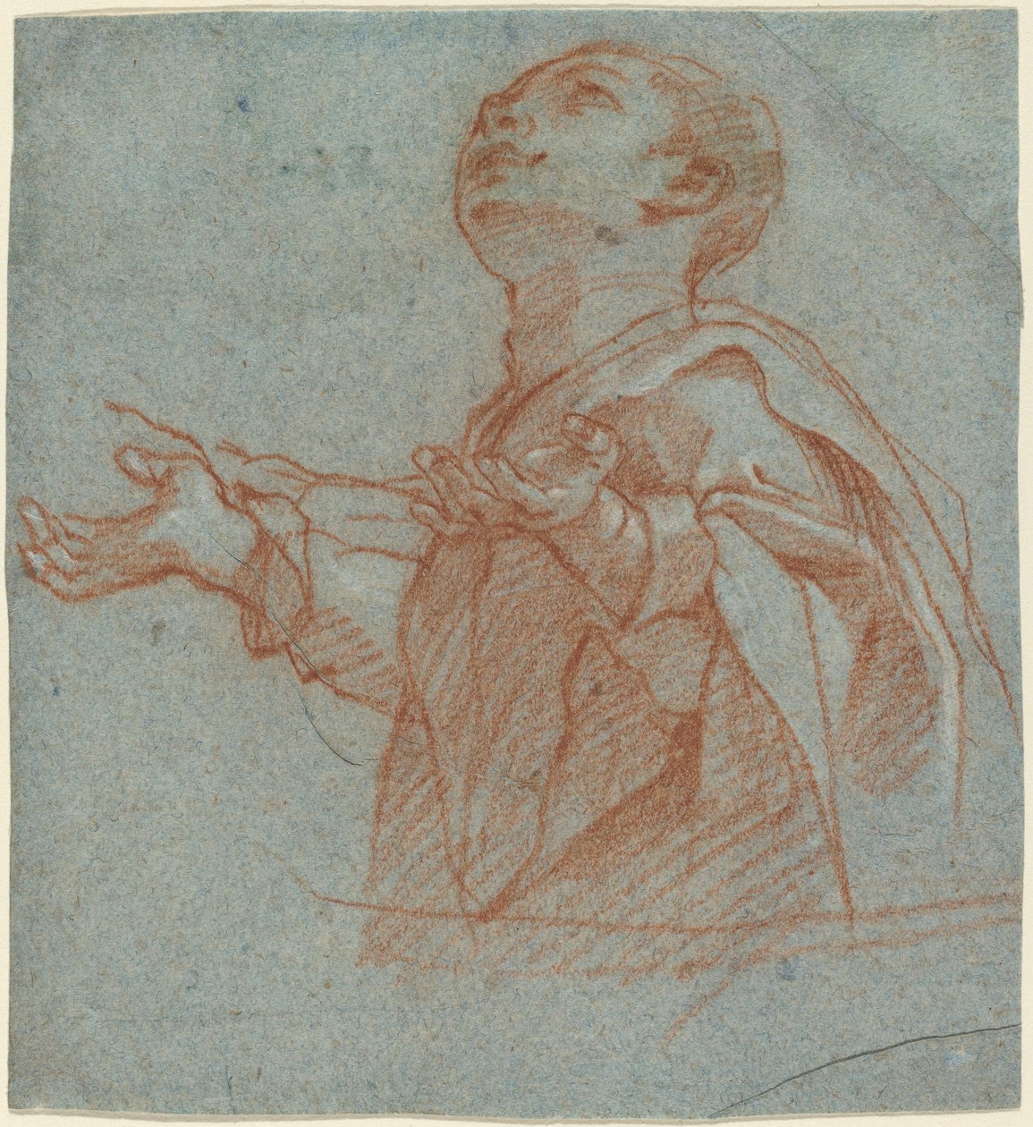 Un Niño Mirando hacia Arriba en Adoración de Bartolomeo Cesi