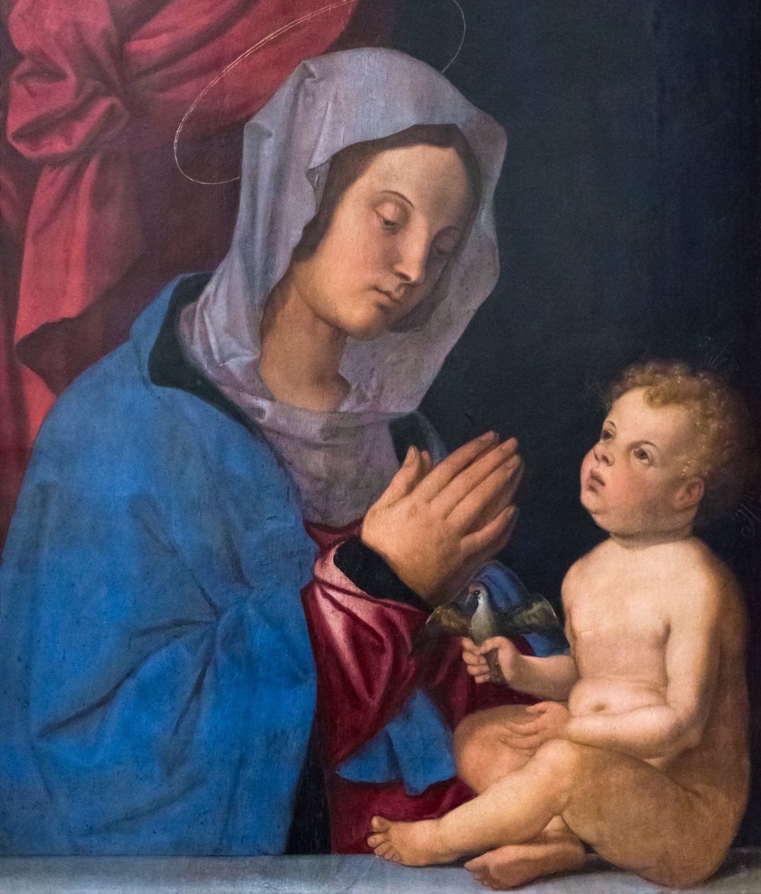Virgen con el Niño, c.1503 (óleo sobre tabla de madera) de Bartolomeo Montagna