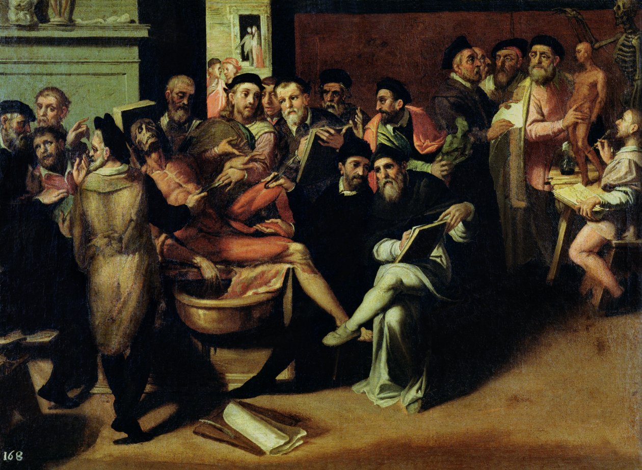 Una Lección de Anatomía para Artistas de Bartolomeo Passarotti