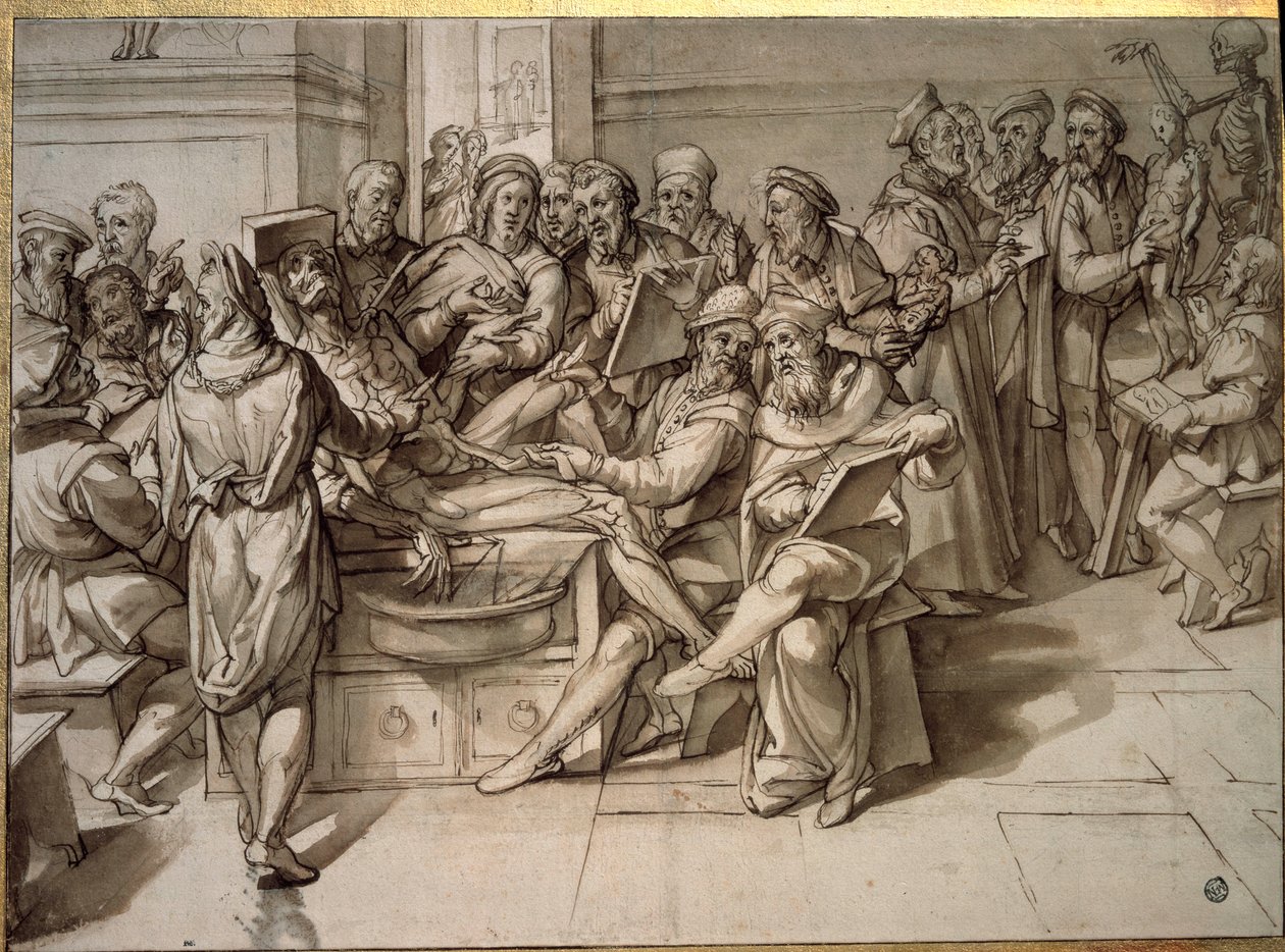 Lección de anatomía impartida por Michelangelo Buonarroti conocido como Miguel Ángel de Bartolomeo Passarotti