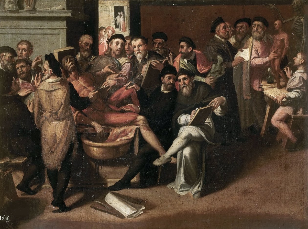 La lección de anatomía por Passerotti, Bartolomeo (1529-1592) de Bartolommeo Passerotti