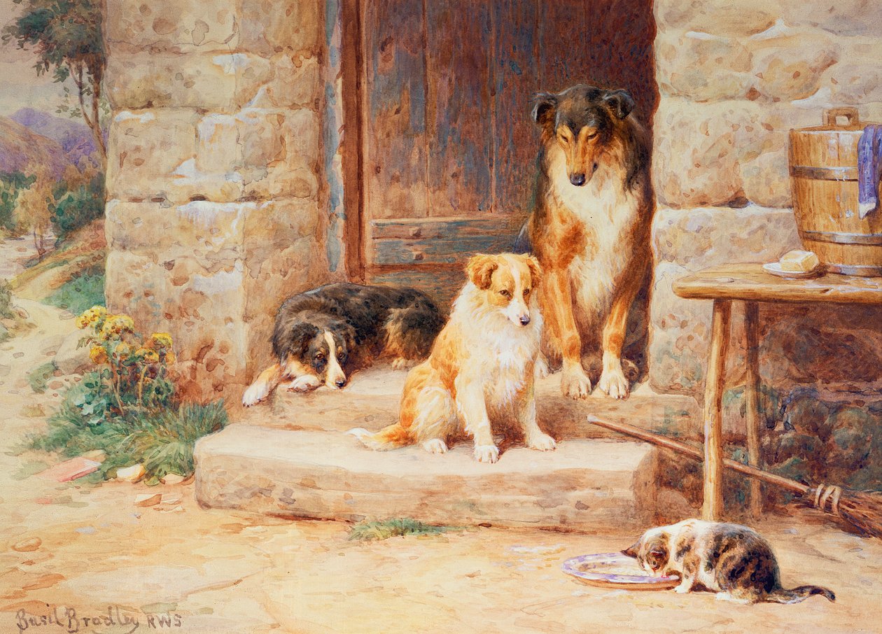 Vive y deja vivir de Basil Bradley