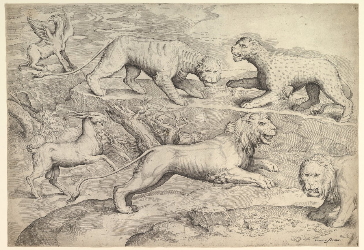 Seis animales, incluidos leones, un tigre, un leopardo, un grifo y una cabra, ca. 1530-61 de Battista Franco Veneziano