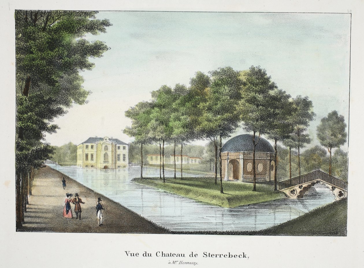 Vista del Castillo de Sterrebeek, c.1895 (fotochrom) de Belgian School