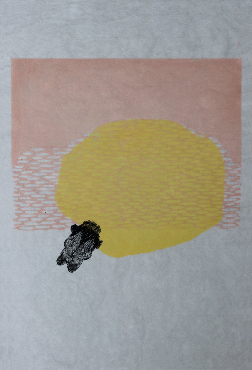 Abejorro y Sol, 2013 de Bella Larsson