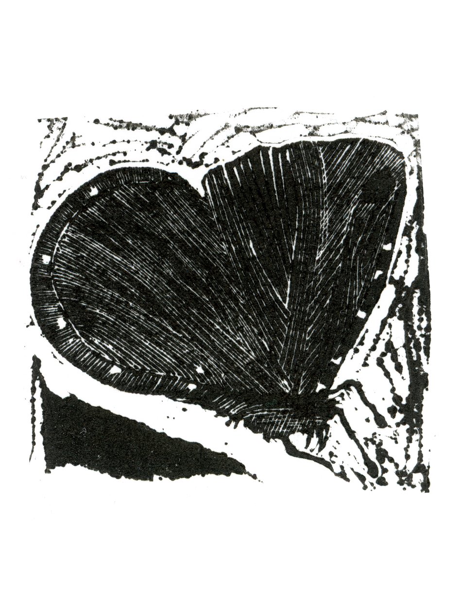 Polilla oscura, 2013 de Bella Larsson