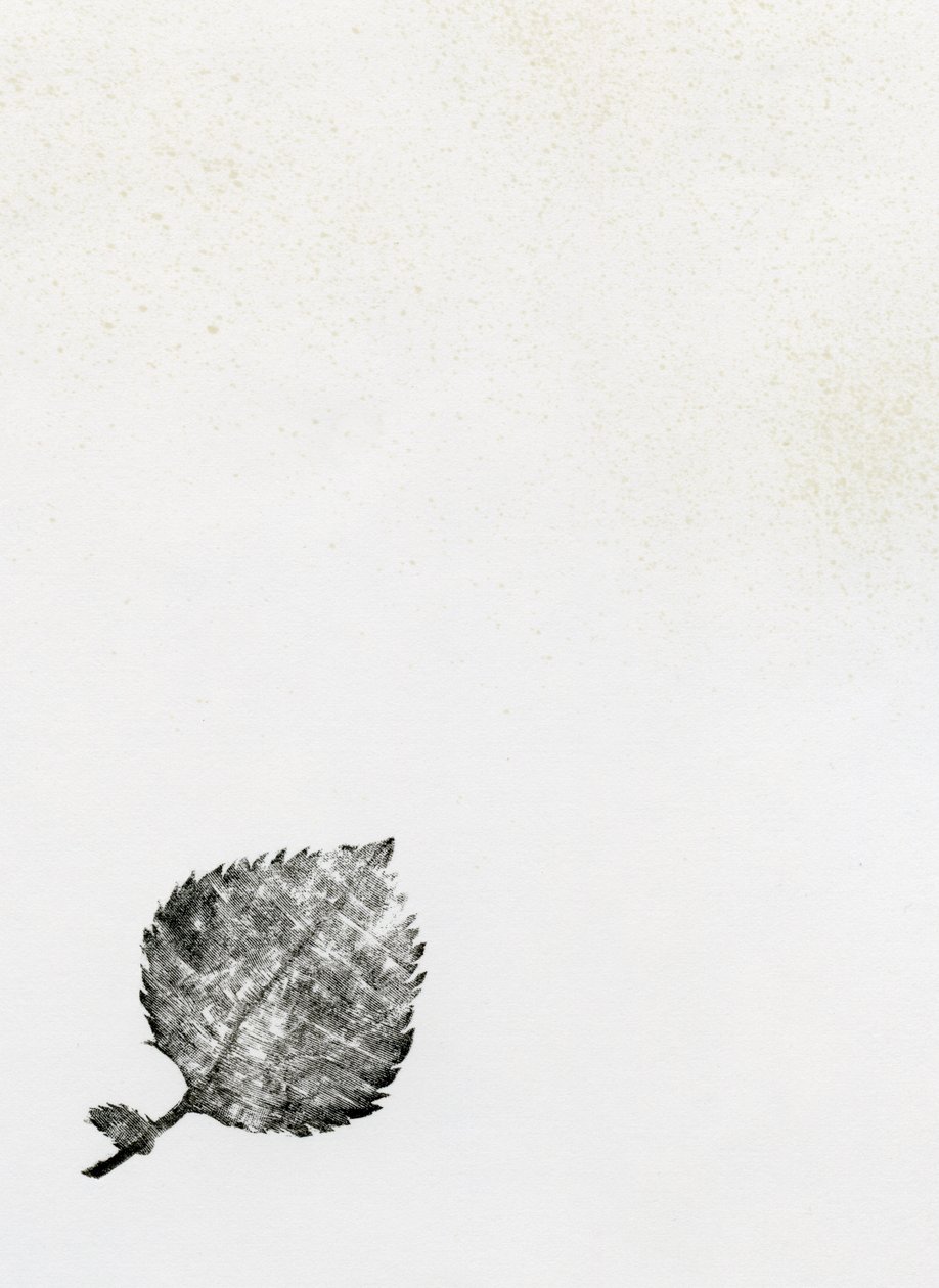 Hoja {Polvo de Hadas}, 2014 de Bella Larsson