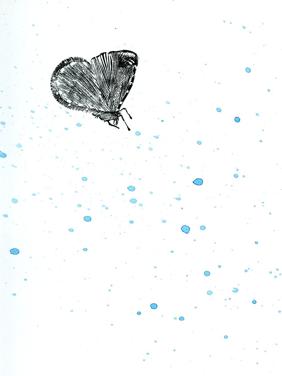 Polilla {Polvo de Hadas}, 2014 de Bella Larsson