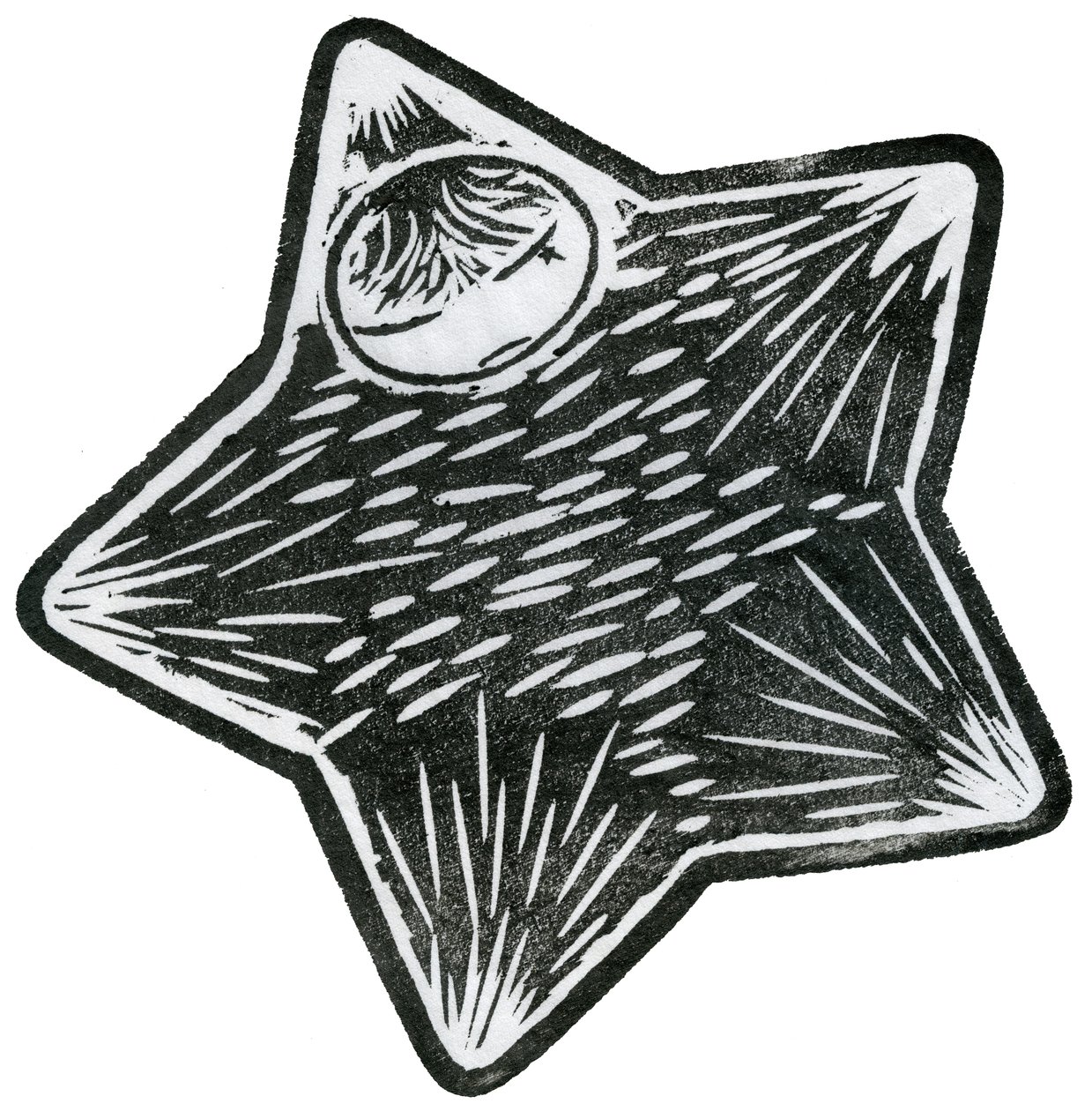 Niño Estrella, 2013 de Bella Larsson