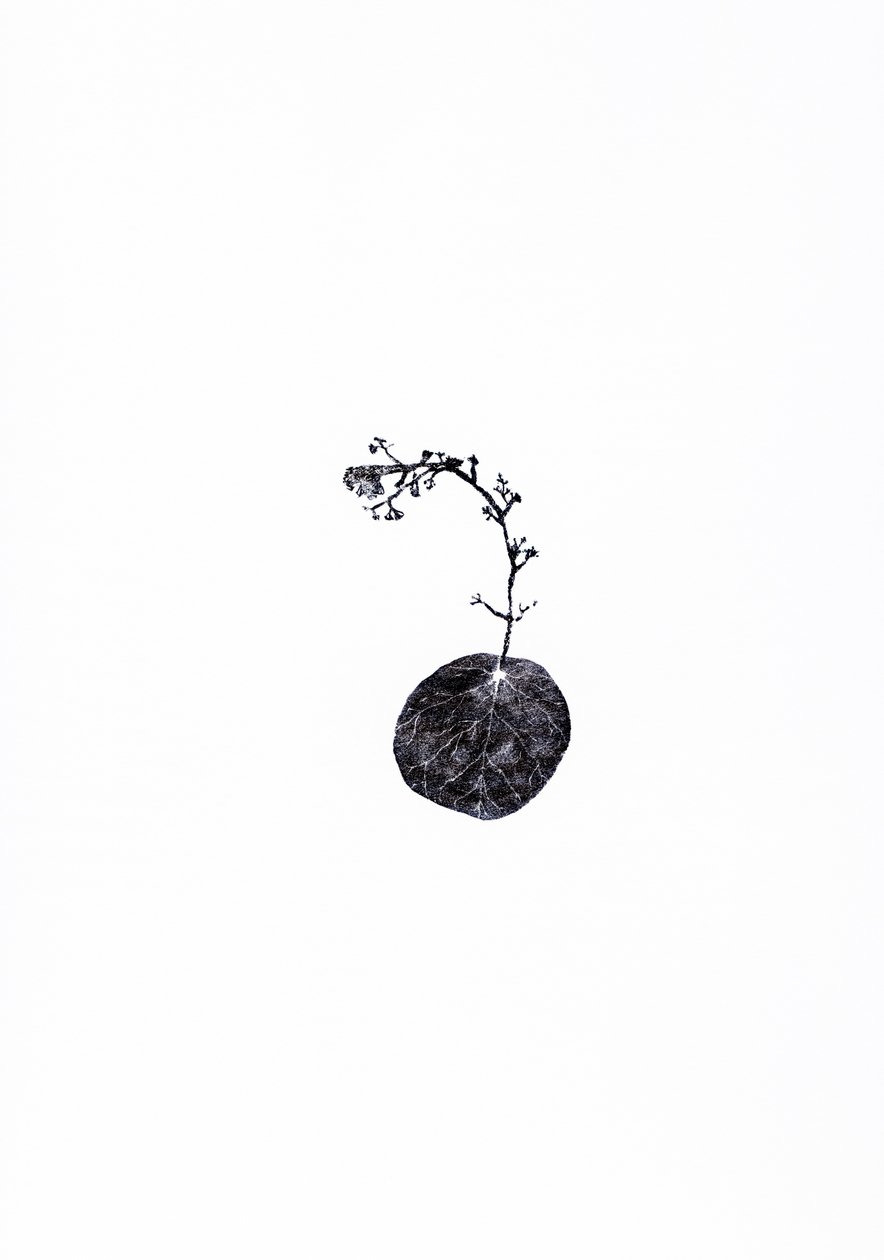 Remolcador, 2014 de Bella Larsson