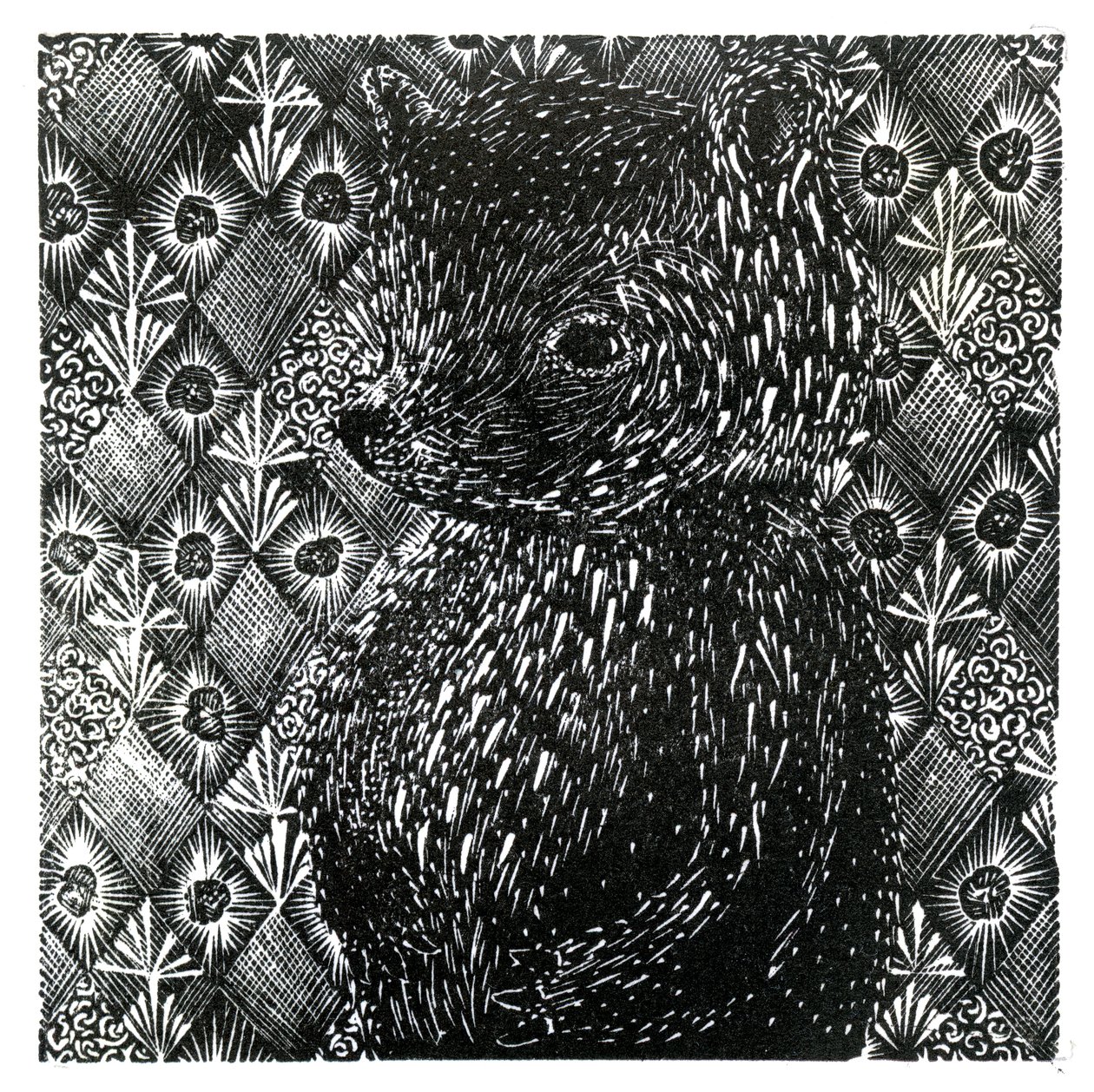 Ursus arctos ssp. domesticus, 2013 de Bella Larsson