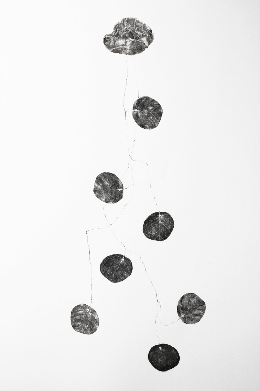 Vessel, 2014 de Bella Larsson