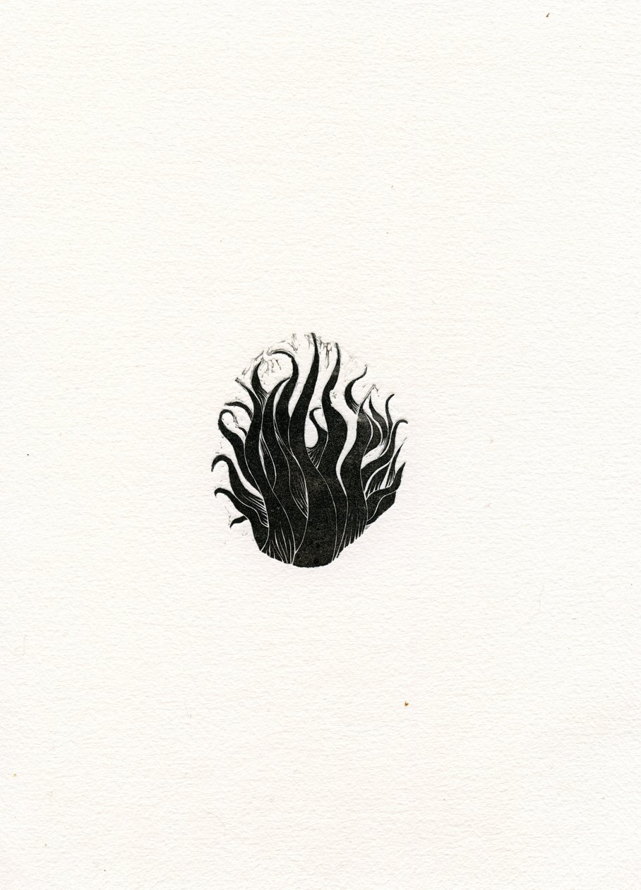 Fuego, 2017 de Bella Larsson