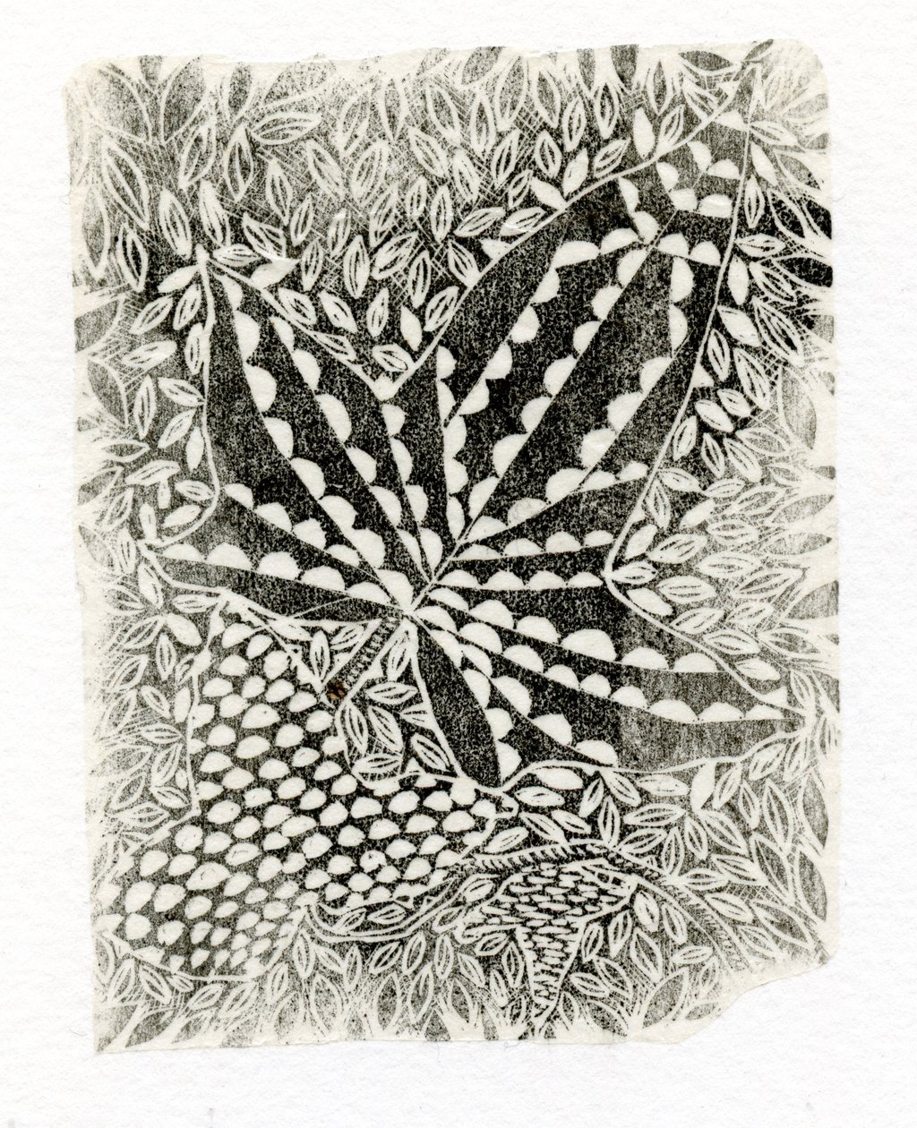 Hiedra, 2014 de Bella Larsson