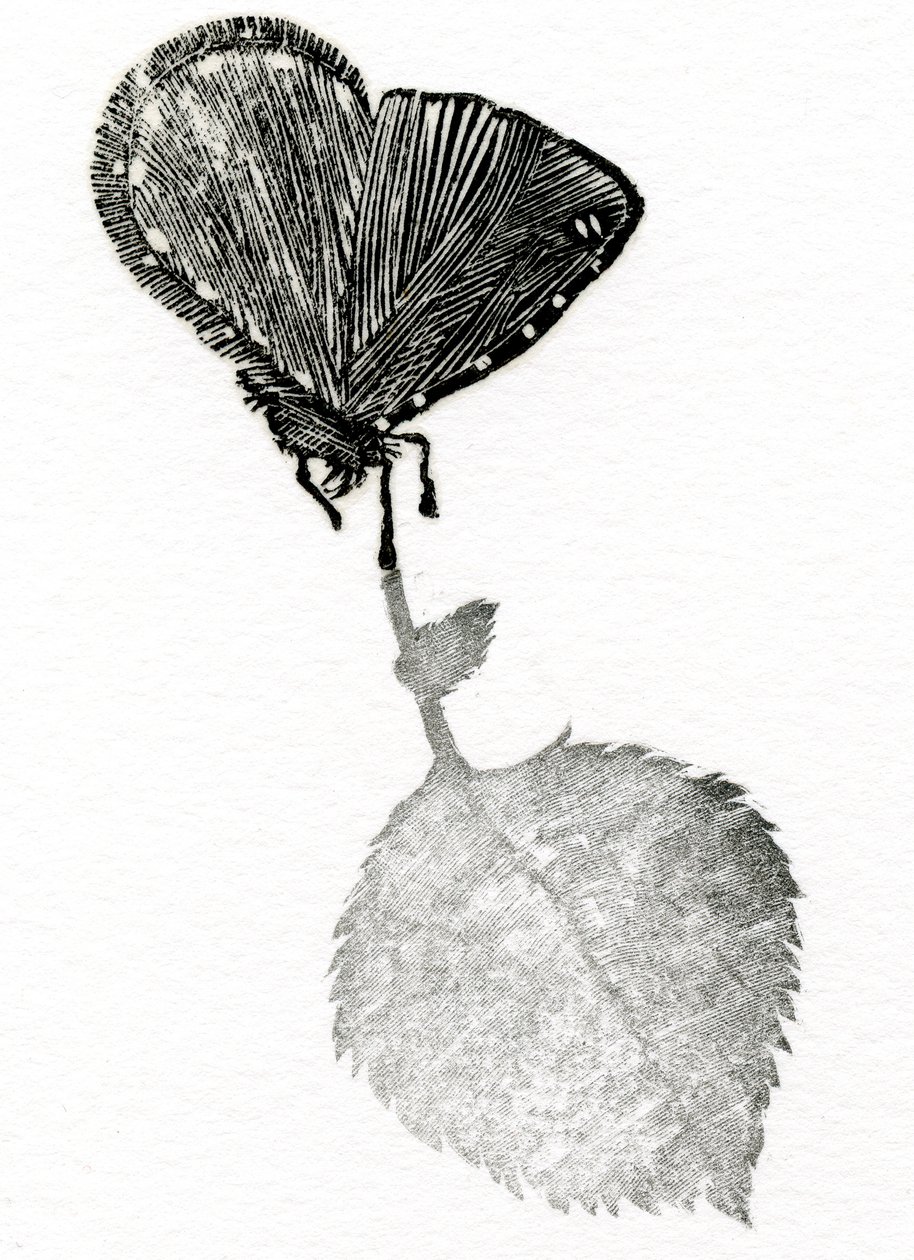 Suspenso, 2014 (Xilografía, collage sobre papel) de Bella Larsson