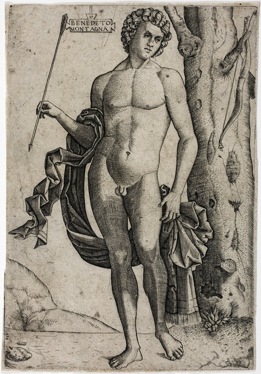 Un joven con una flecha de Benedetto Montagna