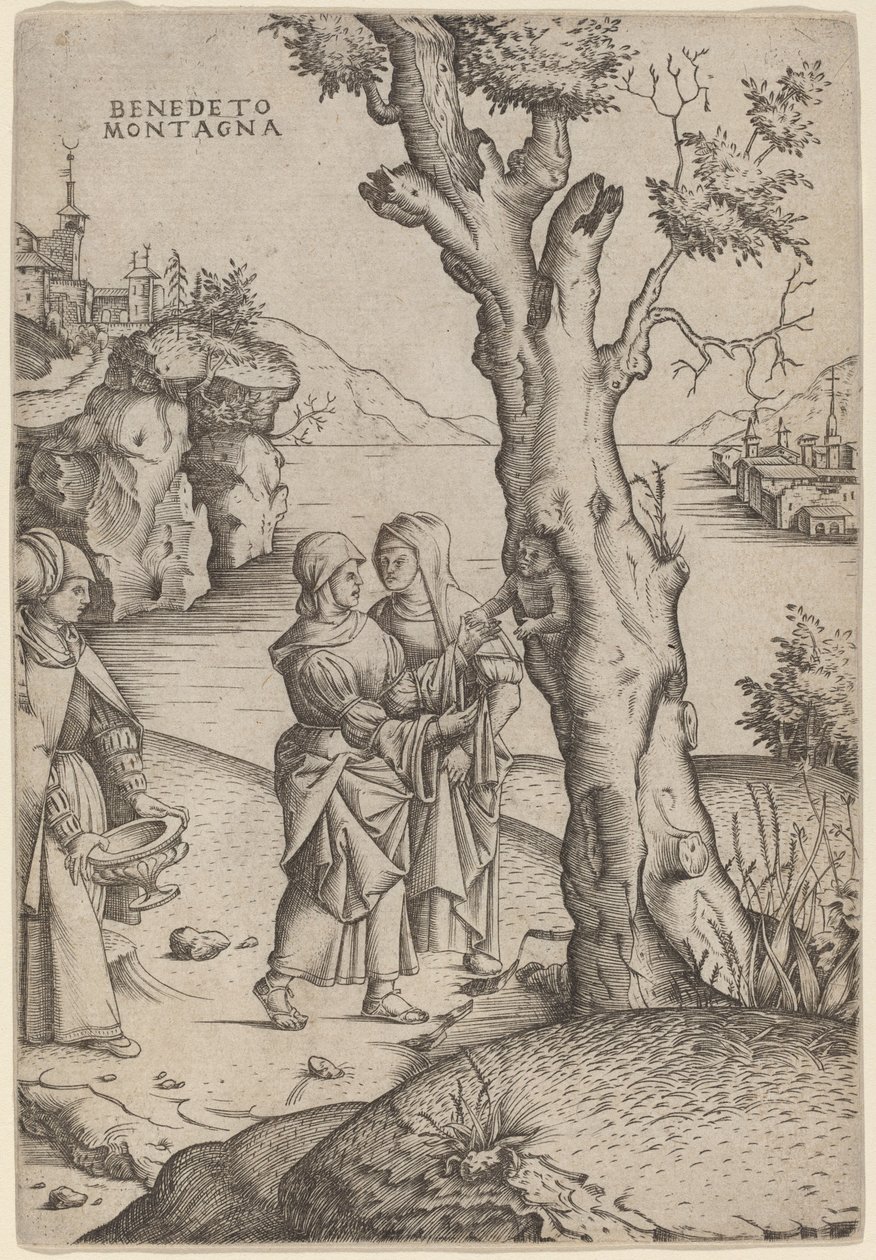 Nacimiento de Adonis de Benedetto Montagna