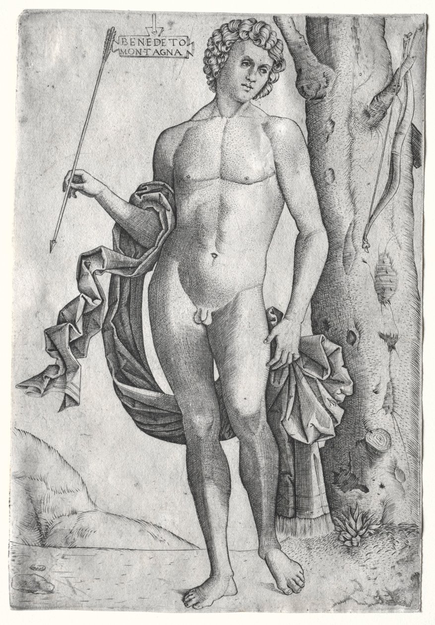 Hombre con una flecha, c. 1515 de Benedetto Montagna