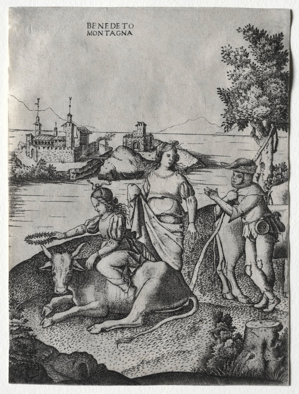 El rapto de Europa, c. 1515-1520 de Benedetto Montagna