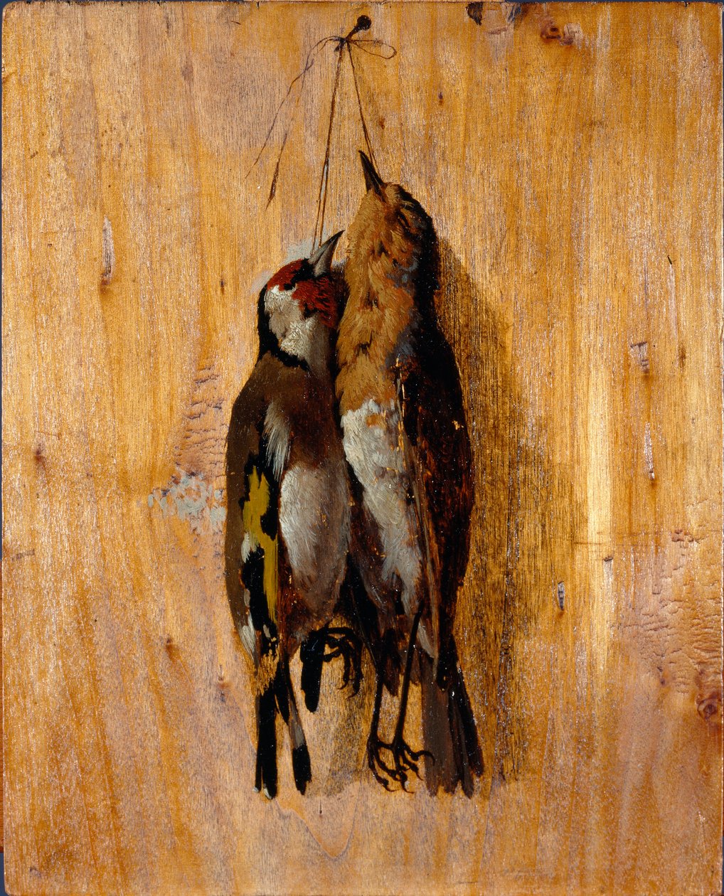 Estudio del natural Dos alfileres de pájaros muertos en la pared. Pintura de Benedetto Musso (1835-1883) 1864 alrededor de Sol. 20,5x16,5 cm genes, Galleria d