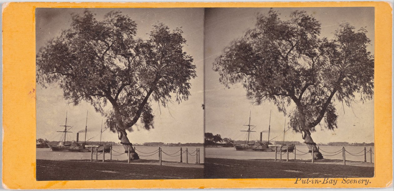 Árbol de sauce. Plantado por el Com. Perry y otros sobrevivientes de la batalla del Lago Erie, para marcar el lugar de entierro de los caídos. de Benedict