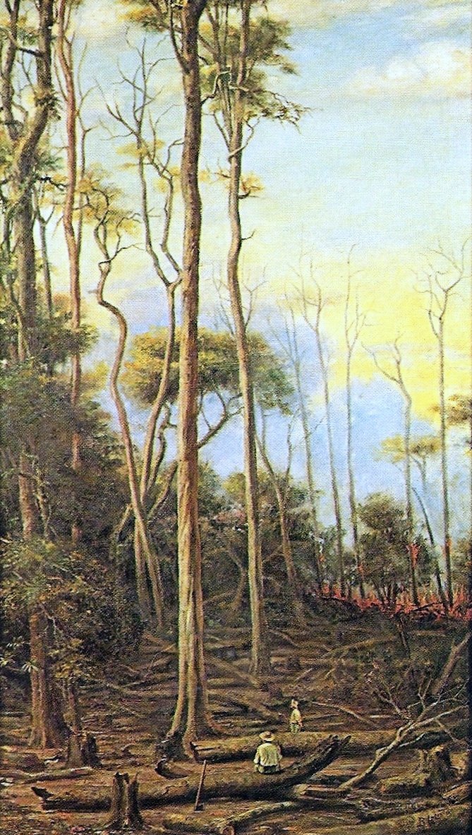 Árboles de Paroba de Benedito Calixto